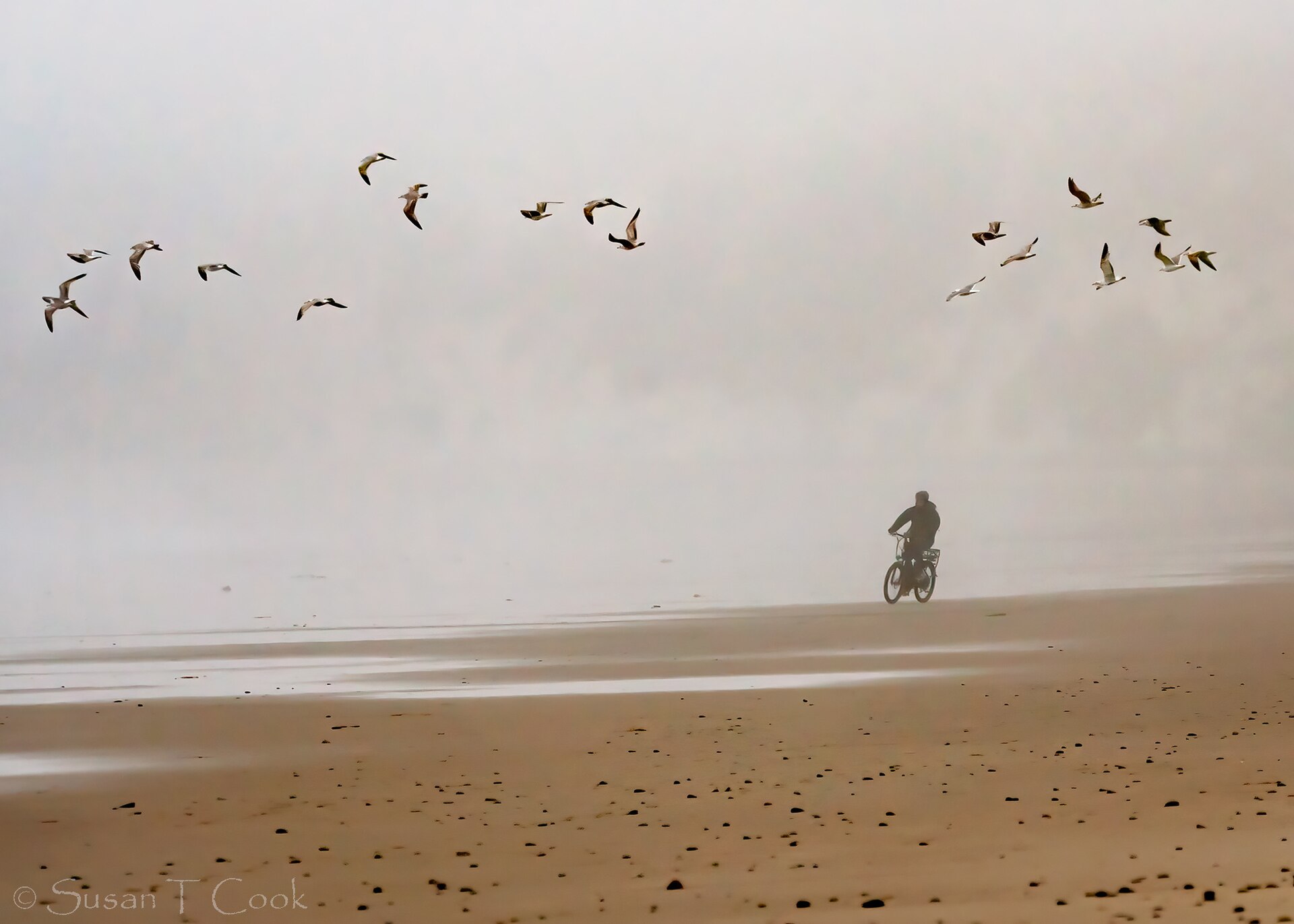 Guided Cycling experience in Kovalam